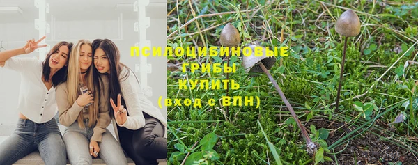 гашик Вязьма