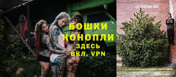 шишки Вяземский