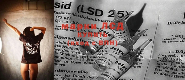 гашик Вязьма