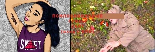 гашик Вязьма