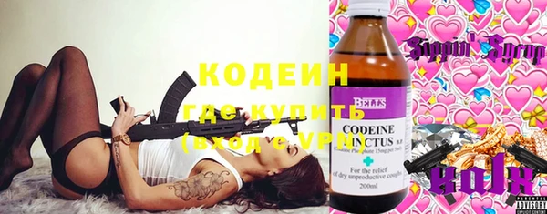 шишки Вяземский