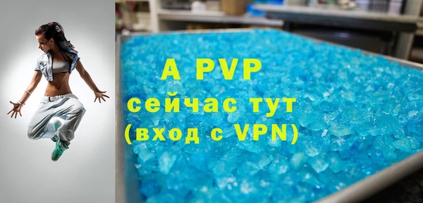 гашик Вязьма