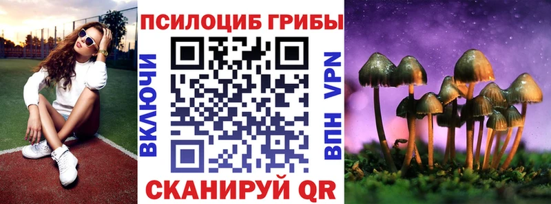 Псилоцибиновые грибы Psilocybe  закладки  Дзержинский 